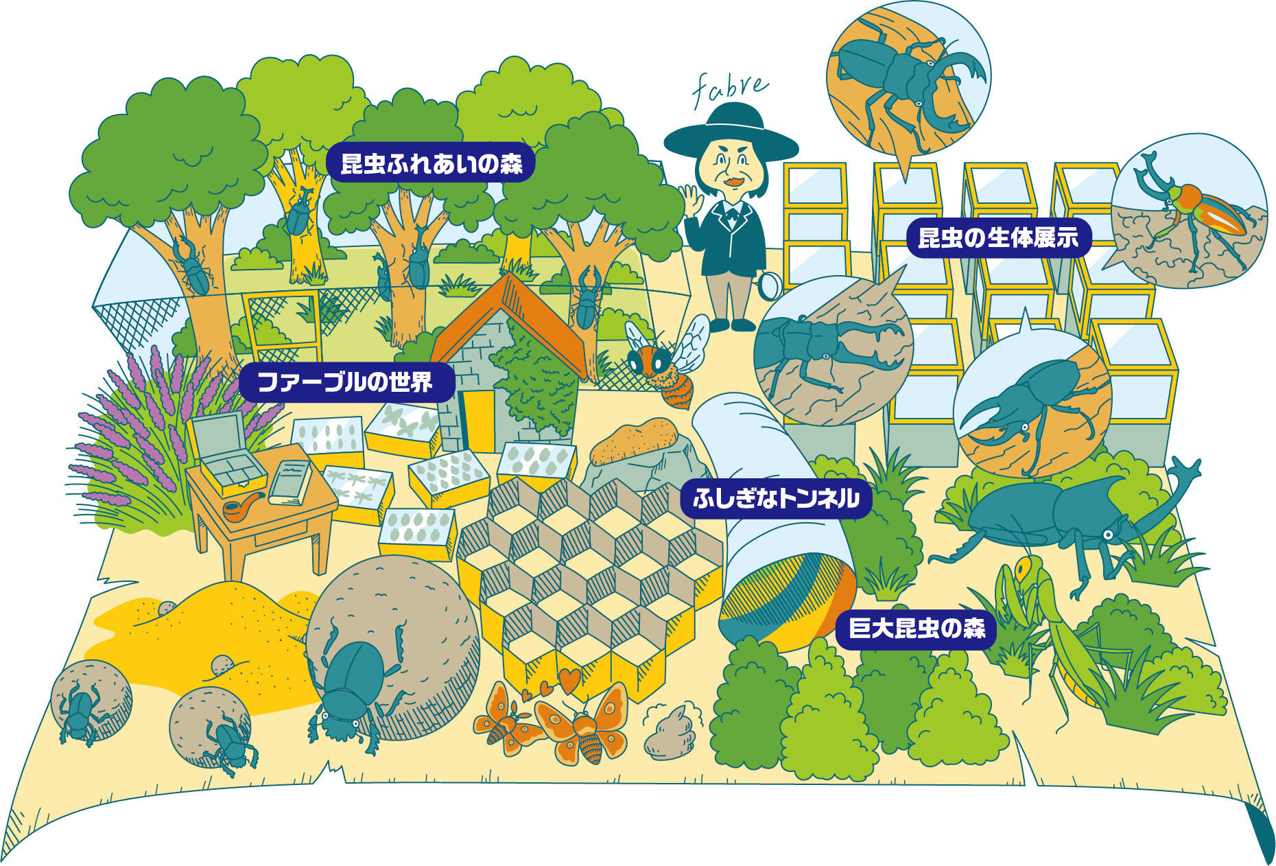 ファーブルに学ぶ 体感する昆虫展 Tokyo 終了 Gallery mo 東京ドームシティ