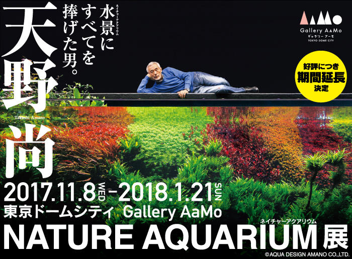 天野尚 Nature Aquarium展 終了 Gallery mo 東京ドームシティ