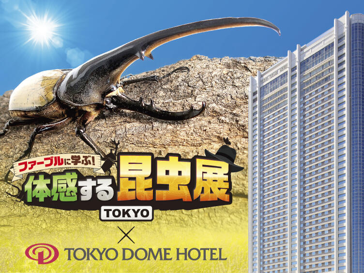 hotelKV_752X564.jpg