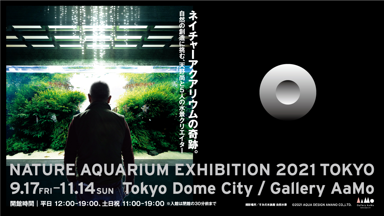 Nature Aquarium Exhibition 21 Tokyo 終了 Gallery mo 東京ドームシティ Nature Aquarium Exhibition 21 Tokyo 終了 Gallery mo 東京ドームシティ