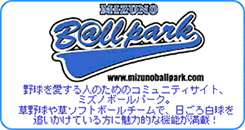 イベントをお考えの方 東京ドームで草野球 東京ドーム 東京ドームシティ