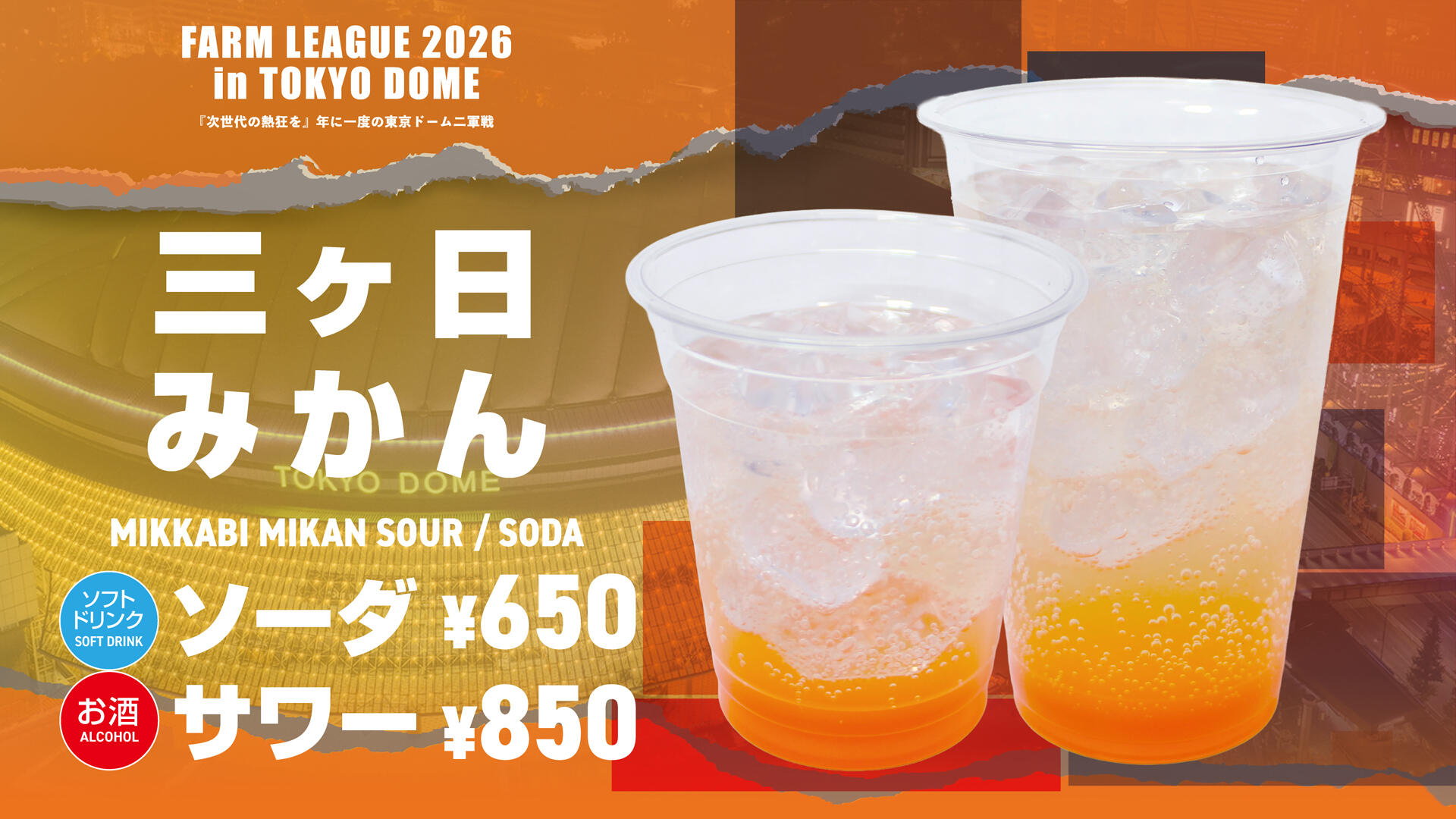 三ケ日みかんサワー・ソーダ.jpg