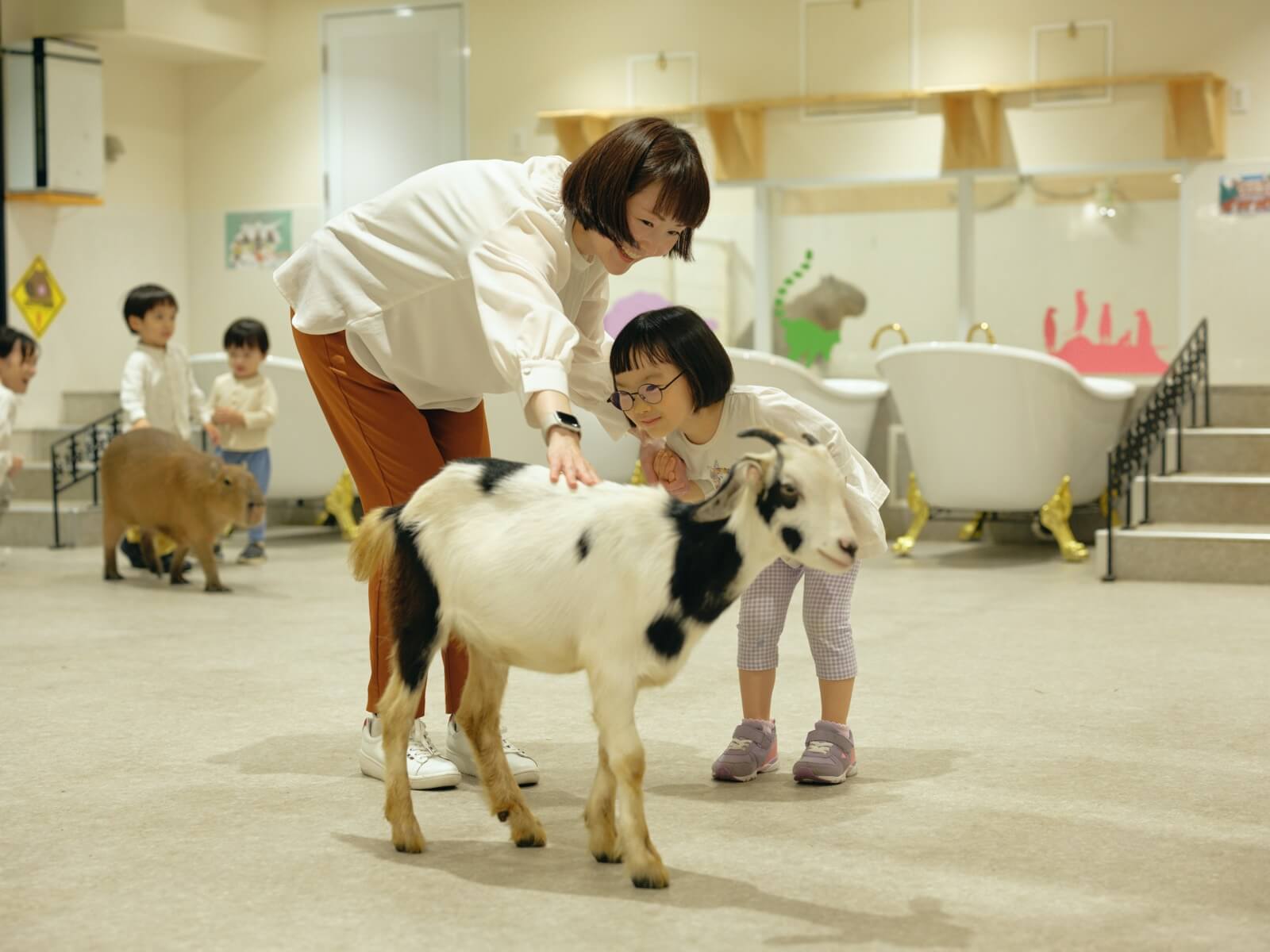 都内最大！屋内型ふれあい動物園「アニタッチ 東京ドームシティ」