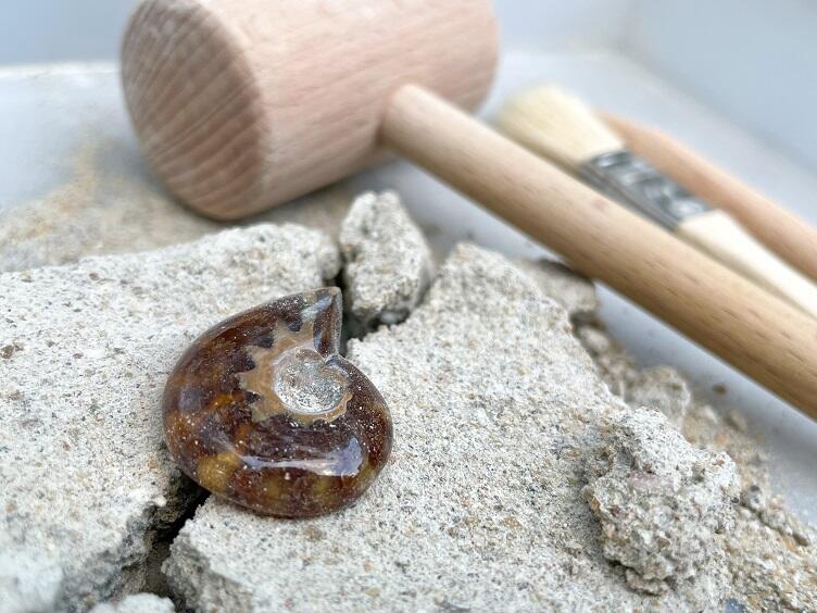 恐竜ワークショップ 東京ドームシティ