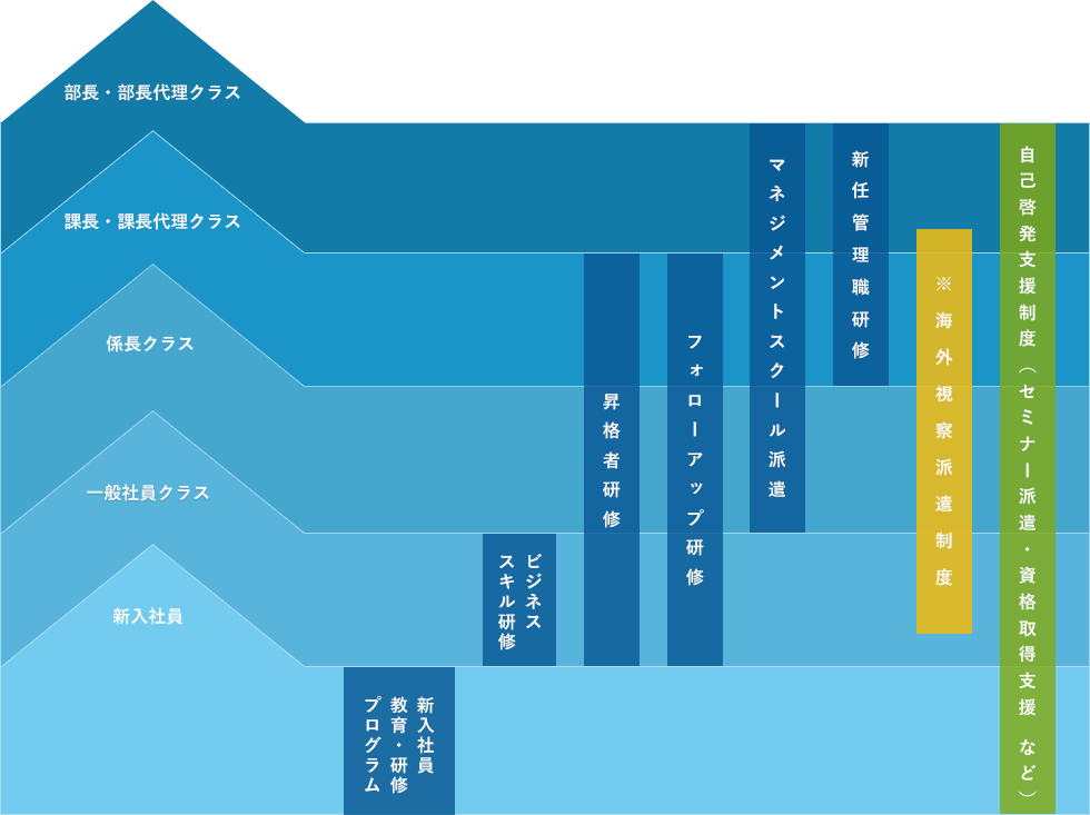部長・部長代理クラス:新任管理職研修 マネジメントスクール派遣 ※海外視察派遣制度 自己啓発支援制度（セミナー派遣・資格取得支援 など）/課長・課長代理クラス:新任管理職研修 マネジメントスクール派遣 フォローアップ研修 昇格者研修※海外視察派遣制度 自己啓発支援制度（セミナー派遣・資格取得支援 など）/係長クラス:マネジメントスクール派遣 フォローアップ研修 昇格者研修※海外視察派遣制度 自己啓発支援制度（セミナー派遣・資格取得支援 など）/一般社員クラス:フォローアップ研修 昇格者研修 ビジネススキル研修※海外視察派遣制度 自己啓発支援制度（セミナー派遣・資格取得支援 など）/新入社員:新入社員 教育・研修プログラム 自己啓発支援制度（セミナー派遣・資格取得支援 など）