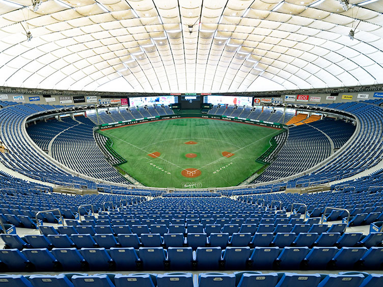 How to enjoy baseball game at the Tokyo Dome Experiences Tokyo Dome City (Tourists Special Site)