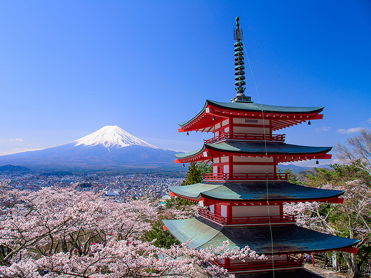 東京ドームホテルに泊まる6つの理由 おすすめプラン 東京ドームシティ Tourists Special Site